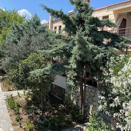 Papadopoulos Houses Nikiti  Bagian luar foto
