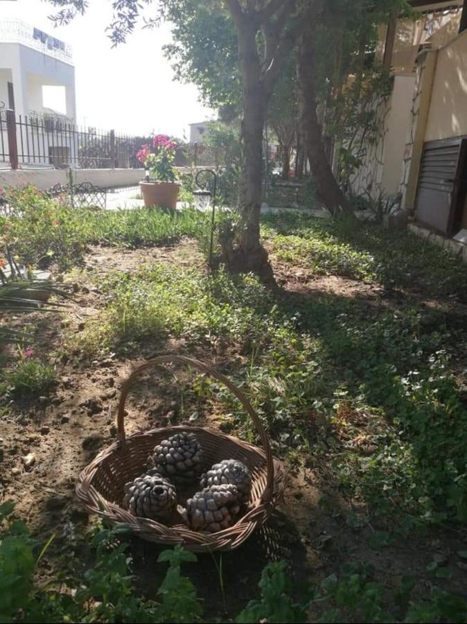 Papadopoulos Houses Nikiti  Bagian luar foto