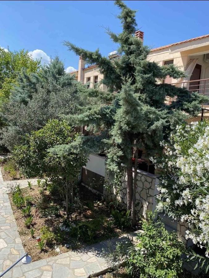 Papadopoulos Houses Nikiti  Bagian luar foto